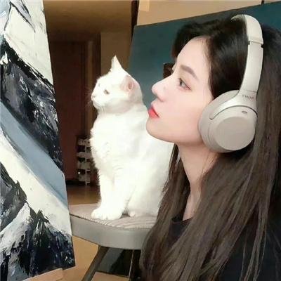 抱歉了同事